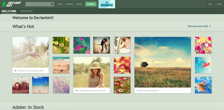 DeviantArt photo sharing site