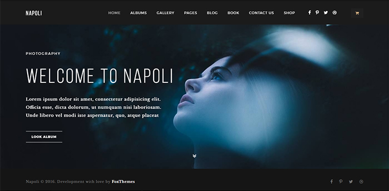 Napoli Portfolio WordPress Theme