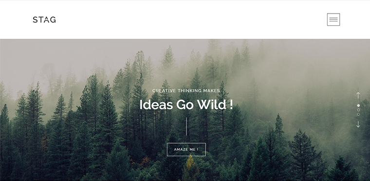 Stag WordPress Portfolio Theme