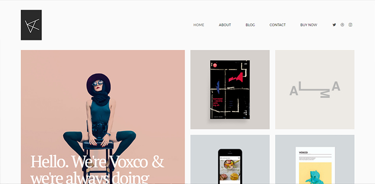 Voxco Portfolio WordPress Theme