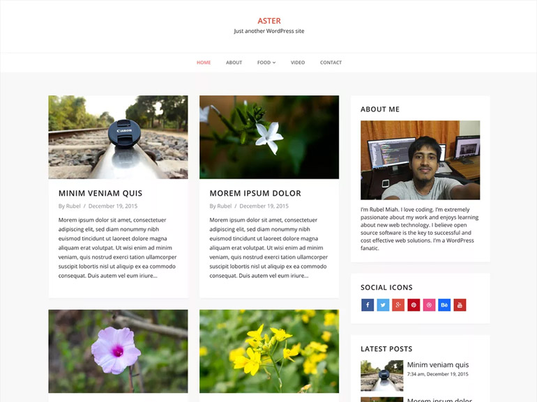 blog wordpress themes simple