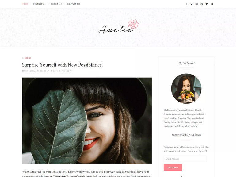 vintage wordpress blog themes