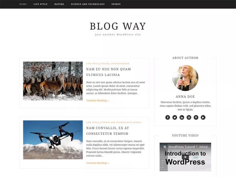 mommy blog wordpress themes