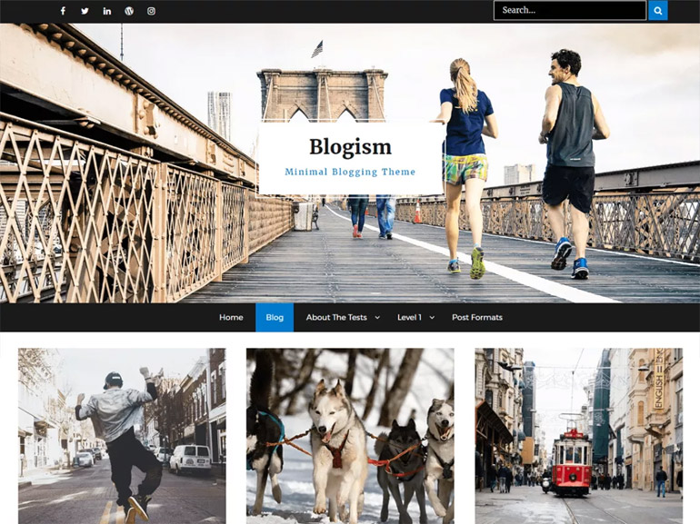 best blog wordpress themes free