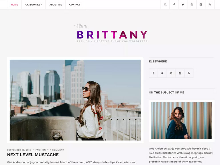 elegant wordpress blog themes