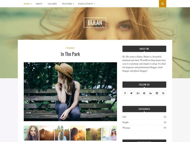 wordpress blog website themes