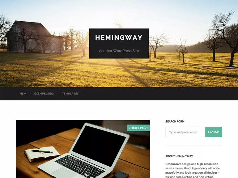 best simple wordpress blog themes