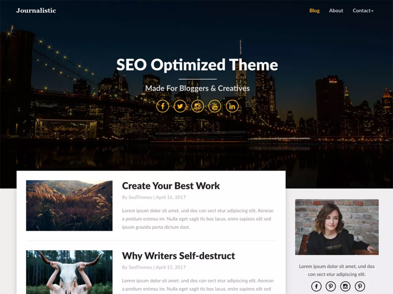 free elegant wordpress blog themes