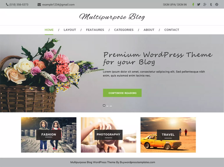 best professional blog wordpress themes