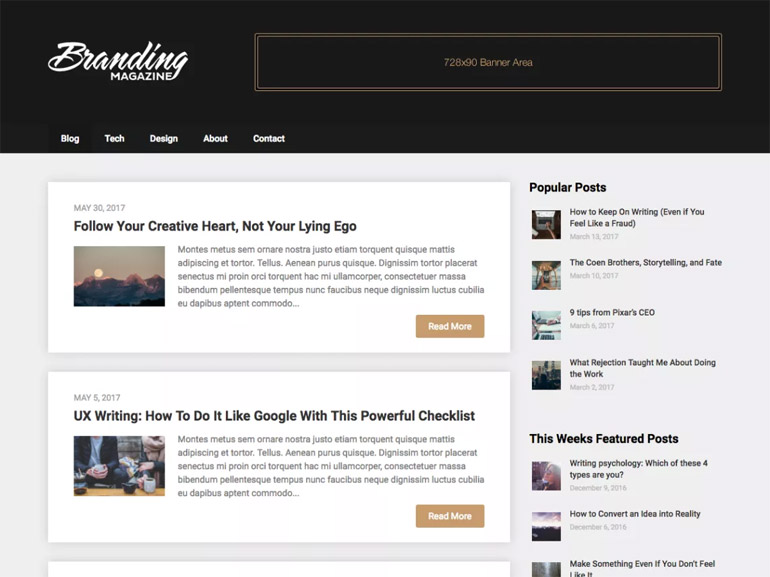 blog magazine wordpress themes free