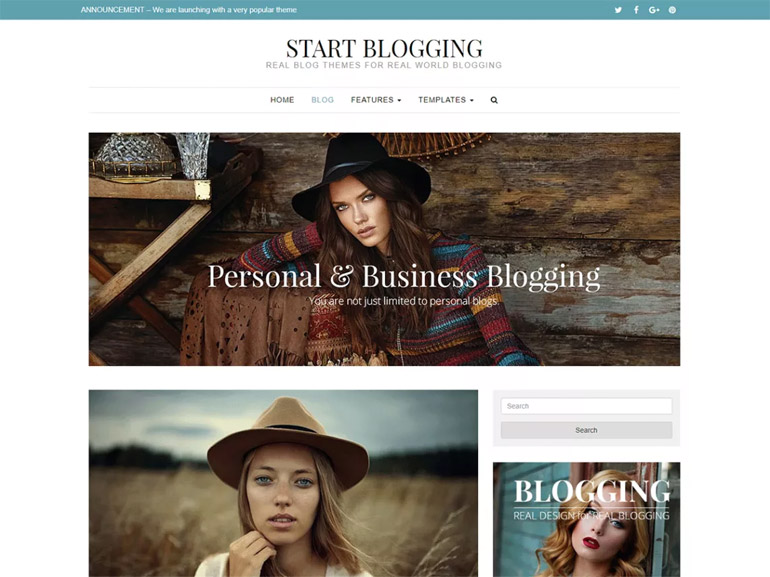 best minimal wordpress blog themes