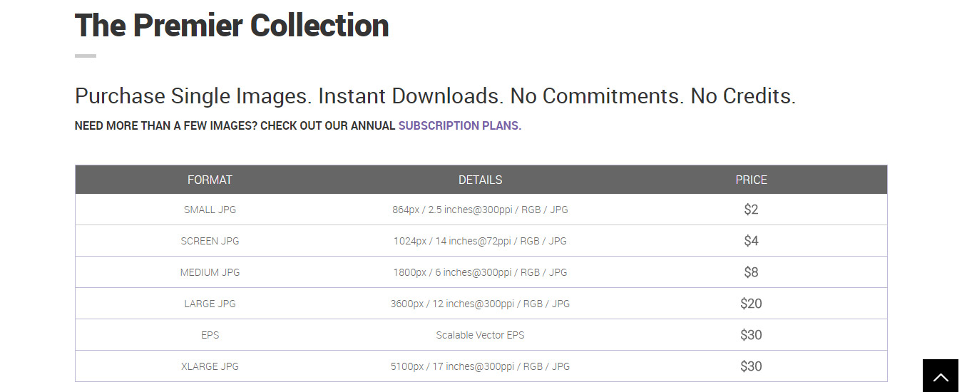 Single Image Purchase Buying Options