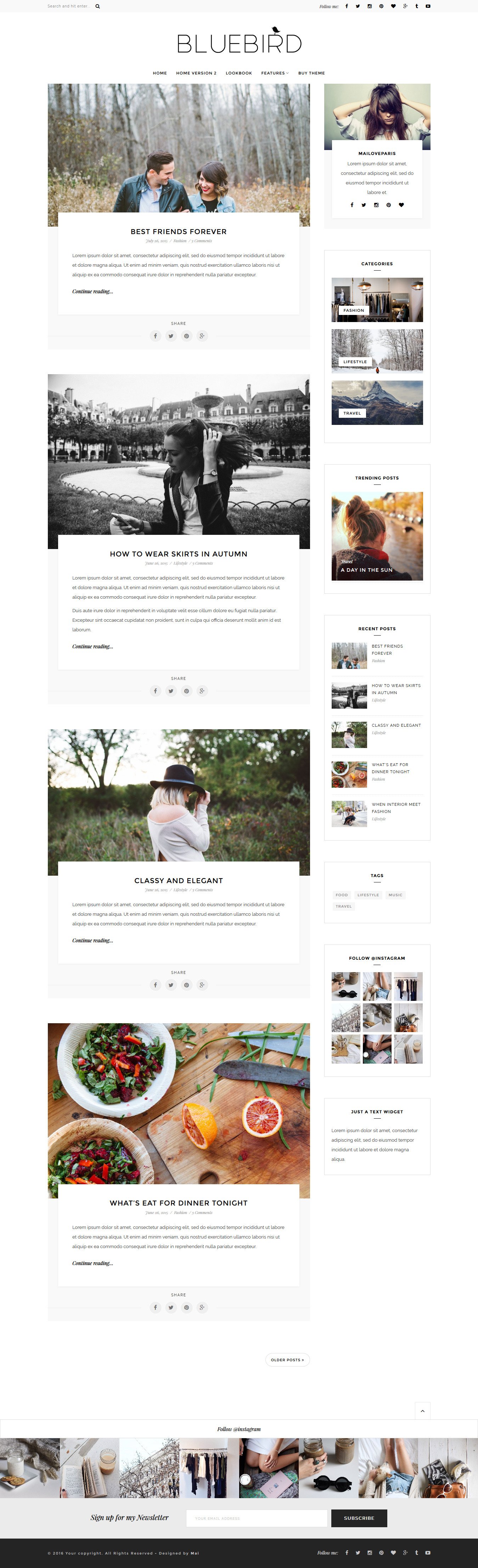 Bluebird WordPress blog theme