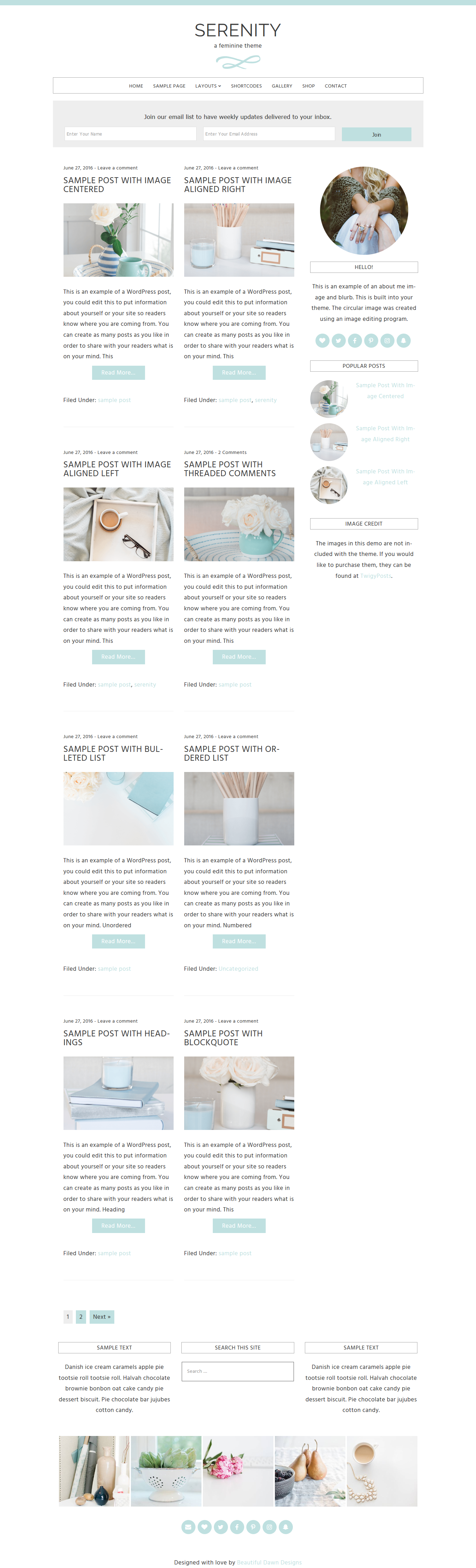 Serenity Feminine WordPress Theme