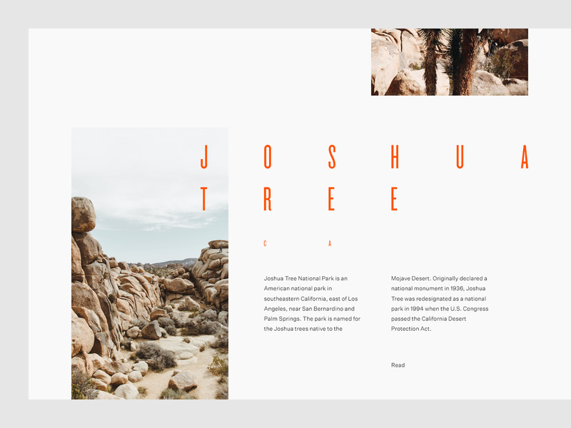 grid web design inspiration