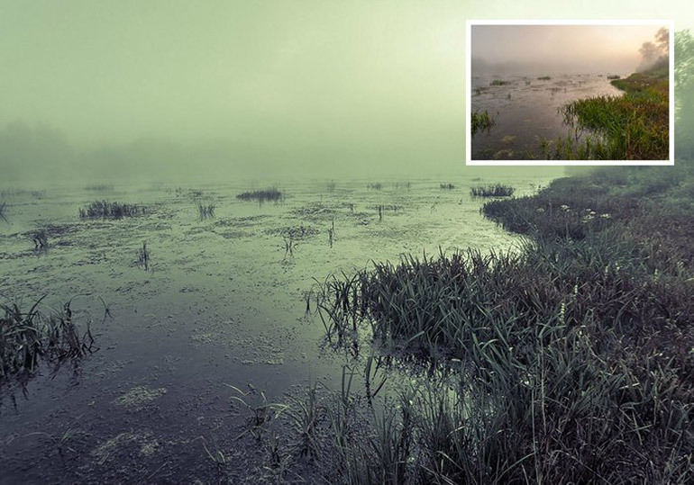 Mystic Swamp Lightroom Preset