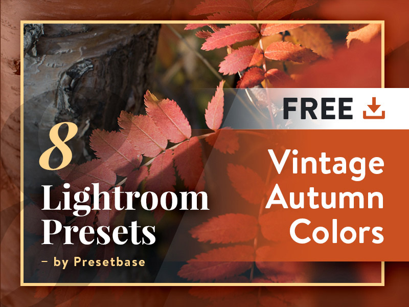 Vintage Autumn Colors FREE Lightroom Presets