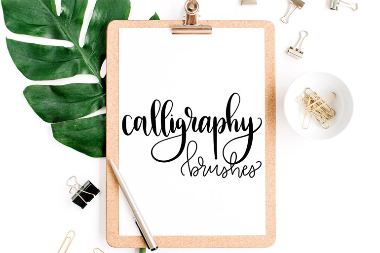 Procreate Calligraphy Brushes