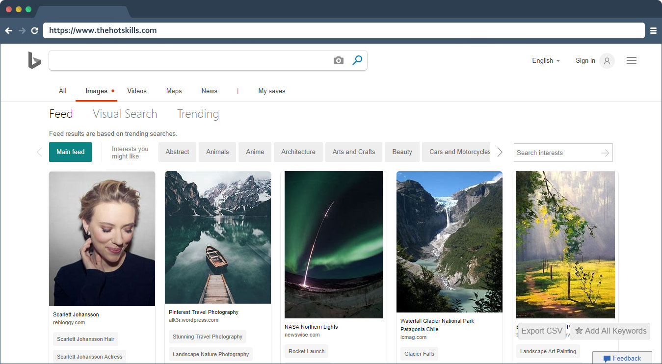 bing image search tool