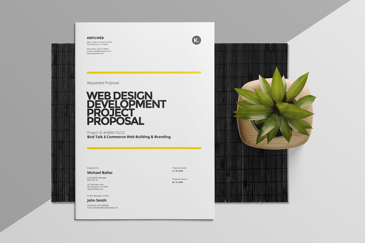 web design business proposal template word