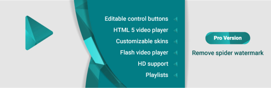 Spider Video Player